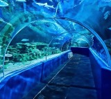 Kotwalguda Hyderabad to Build 300 Crore Tunnel Aquarium