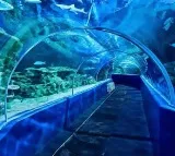 Kotwalguda Hyderabad to Build 300 Crore Tunnel Aquarium