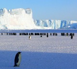 Employee Seeks Advice on 13 Crore Antarctica Job Offer