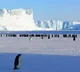 Employee Seeks Advice on 13 Crore Antarctica Job Offer