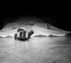 Bapatla Road Accident Three Dead as Auto Plunges into Canal