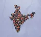 Narendra Modi Government Approves 2027 Census with Caste Data
