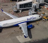 Indigo Appoints International Aviation Consultancy for Investigation