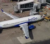 Indigo Appoints International Aviation Consultancy for Investigation