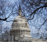 US senators seek to overturn Trump rule hitting Indian H-1B spouses