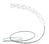 AIIMS Delhi Supernova Stent Effective for Stroke Patients