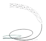 AIIMS Delhi Supernova Stent Effective for Stroke Patients