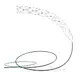 AIIMS Delhi Supernova Stent Effective for Stroke Patients
