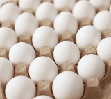 Egg Prices Soar in Andhra Pradesh Shocking Consumers