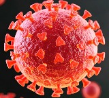 No link between COVID-19 vaccines and sudden deaths in young adults: AIIMS