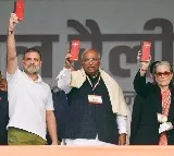 Rahul Gandhi Congress protests vote rigging in Delhi