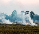 NASA says later-day stubble burning in northern India complicates air quality monitoring
