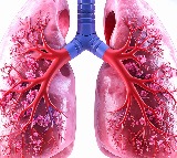 New blood test can detect, monitor lung cancer in real time