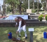 PM Modi, Ethiopian counterpart plant sapling in Addis Ababa under 'Ek Ped Maa Ke Naam’ initiative