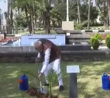 PM Modi, Ethiopian counterpart plant sapling in Addis Ababa under 'Ek Ped Maa Ke Naam’ initiative