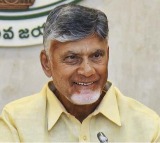 Chandrababu Naidu Reviews 18 Months of Governance at AP Collectors Conference