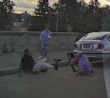 Elderly Couple Dies Confronting Gunman in Bondi Beach Shooting