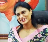 Chandrababu Pawan Kalyan wish YS Sharmila on her birthday