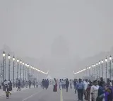 Delhi Government Orders 50 Percent Work From Home Due to Pollution