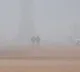 Delhi-NCR wakes up to thick smog as AQI slips back into 'severe' zone