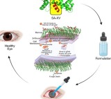 Indian researchers develop new peptide therapy to treat eye infections