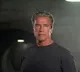 Arnold Schwarzenegger Not to Appear in Future Terminator Films
