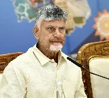 Chandrababu Naidu Focuses on Rising Crime Rates in Select AP Districts