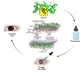 Indian researchers develop new peptide therapy to treat eye infections
