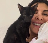 Jacqueline Fernandez rescues kittens: Wish we could give our beautiful strays a chance at love