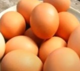 Eggs safe for consumption; cancer risk claims misleading, not scientific, says FSSAI