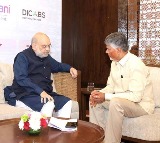 Chandrababu Naidu Meets Amit Shah Discusses State Development Politics