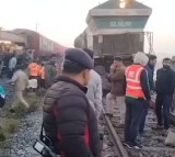 8 Elephants Killed By Rajdhani Express In Assam Train Ops Hit