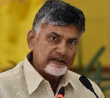Chandrababu Naidu says land grabbers are creating obstacles to governance