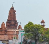 Live in Relationships Legal Allahabad High Court Clarifies