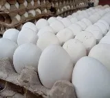 FSSAI Clarifies on Cancer Concerns in Eggs