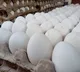 FSSAI Clarifies on Cancer Concerns in Eggs