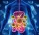 Turicibacter Bacteria Discovered by US Researchers for Weight Loss