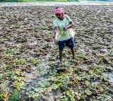 Socially backward people in Bengal have limited access to institutional loans: Bankers’ study