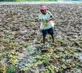 Socially backward people in Bengal have limited access to institutional loans: Bankers’ study