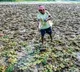 Socially backward people in Bengal have limited access to institutional loans: Bankers’ study
