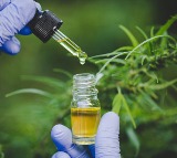 Alzheimers Disease Treatment with Cannabis Shows Promising Results