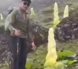 Anand Mahindra on why Sikkim Sundari is not in textbooks