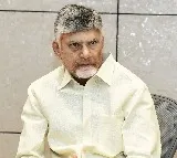 Chandrababu Orders Study on Haryana Model for Liquor Sales