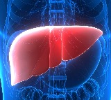 New monoclonal antibody safe and effective for rare liver disease
