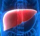 New monoclonal antibody safe and effective for rare liver disease