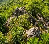No mining, no dilution: Central govt throws full shield over Aravallis
