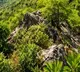 No mining, no dilution: Central govt throws full shield over Aravallis