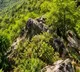 No mining no dilution Central govt throws full shield over Aravallis