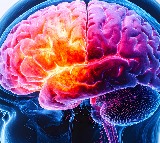 Animal studies show Alzheimer's disease can be reversed