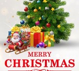 Telugu states mark Christmas celebrations with pomp & gaiety